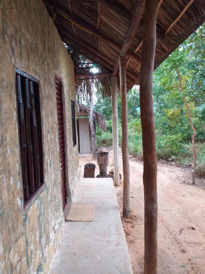 Refugio Raiz Camping Carolina  Bagian luar foto