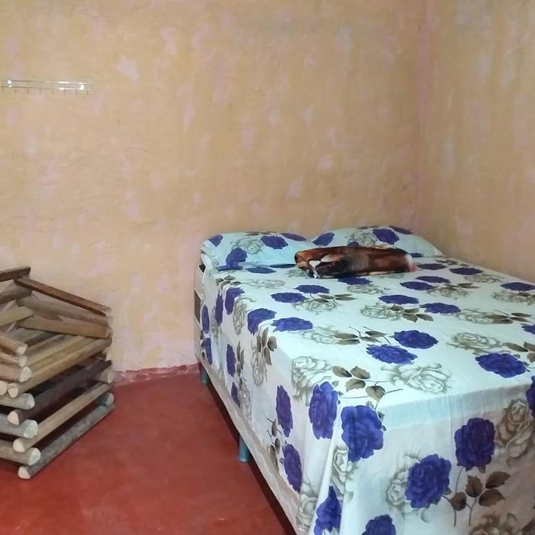 Refugio Raiz Camping Carolina  Bagian luar foto