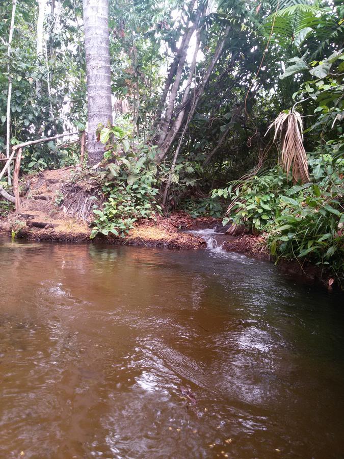 Refugio Raiz Camping Carolina  Bagian luar foto