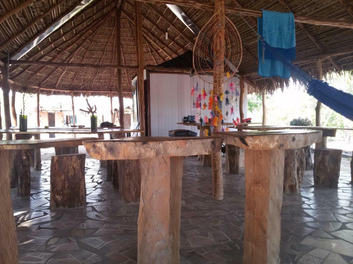 Refugio Raiz Camping Carolina  Bagian luar foto