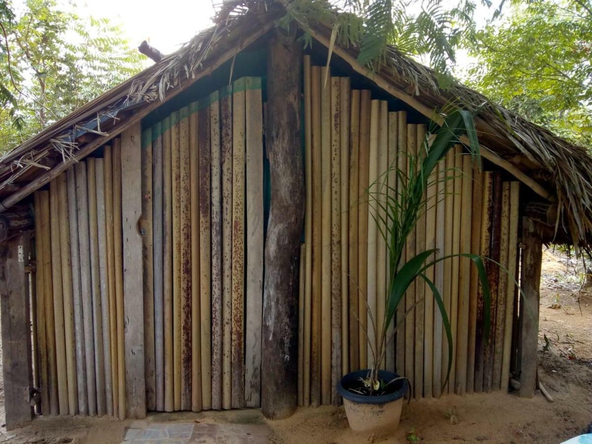 Refugio Raiz Camping Carolina  Bagian luar foto