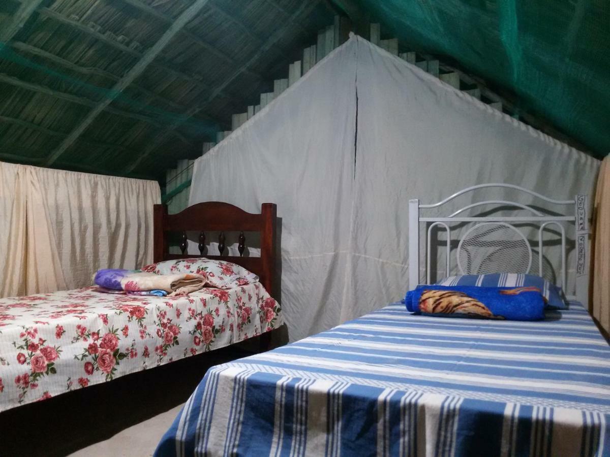 Refugio Raiz Camping Carolina  Bagian luar foto