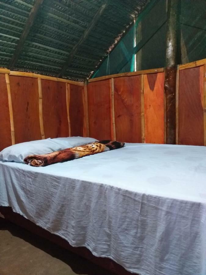 Refugio Raiz Camping Carolina  Bagian luar foto