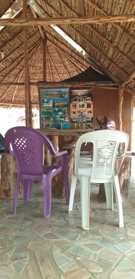 Refugio Raiz Camping Carolina  Bagian luar foto